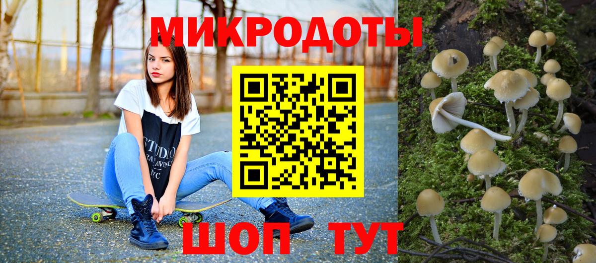 Псилоцибиновые грибы Psilocybe Ликино-Дулёво
