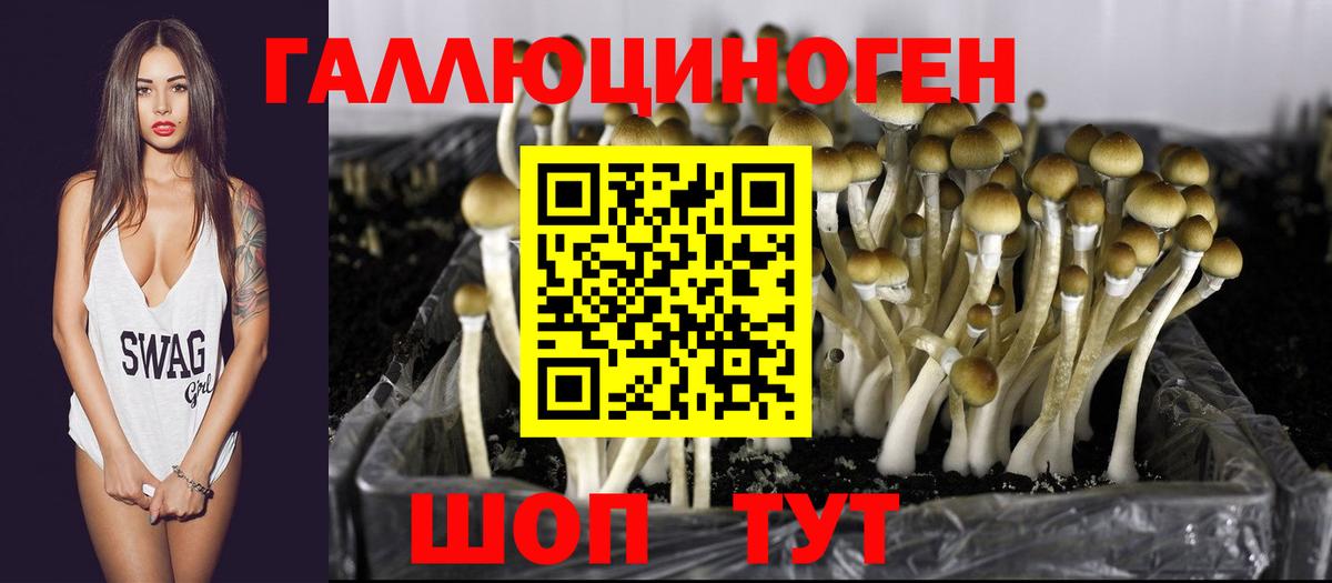 Галлюциногенные грибы Psilocybine cubensis  Галлюциногенные грибы ЛСД  цены наркотик  Вход с VPN  Ликино-Дулёво 